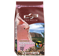 Premium Australian Parrot
